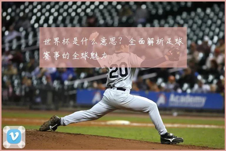 世界杯是什么意思？全面解析足球赛事的全球魅力