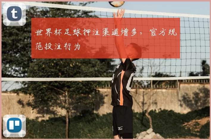 世界杯足球押注渠道增多，官方规范投注行为