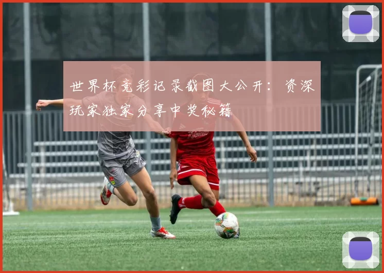 世界杯竞彩记录截图大公开：资深玩家独家分享中奖秘籍