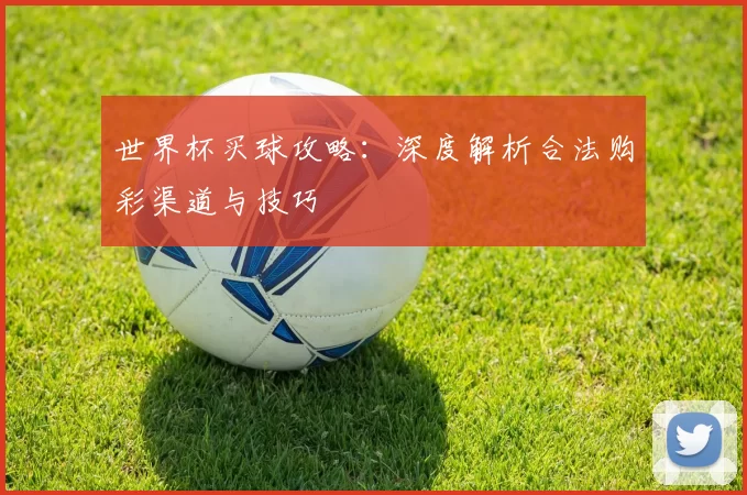 世界杯买球攻略：深度解析合法购彩渠道与技巧