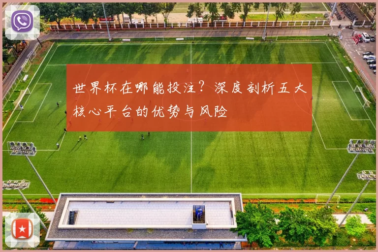 世界杯在哪能投注?深度剖析五大核心平台的优势与风险