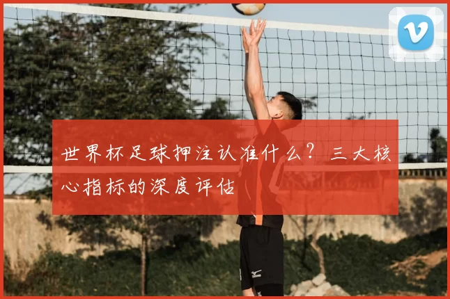 世界杯足球押注认准什么?三大核心指标的深度评估