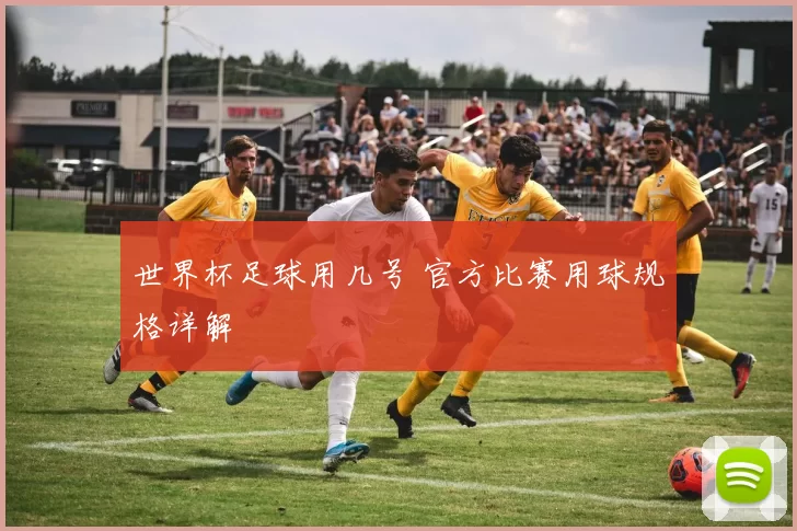 世界杯足球用几号 官方比赛用球规格详解