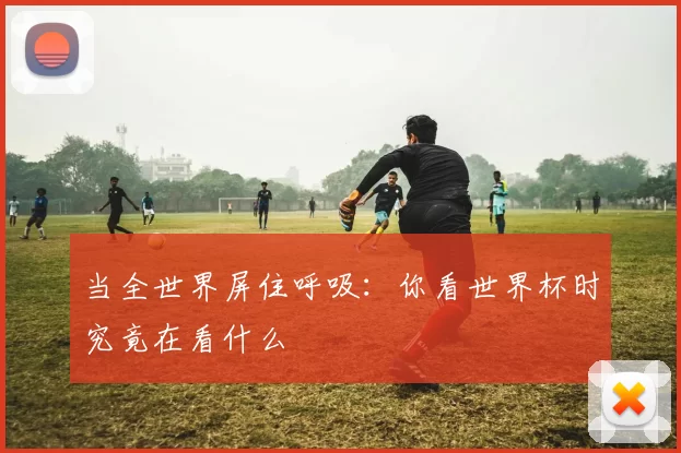 当全世界屏住呼吸：你看世界杯时究竟在看什么