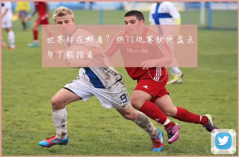 世界杯在哪看？热门观赛软件盘点与下载指南