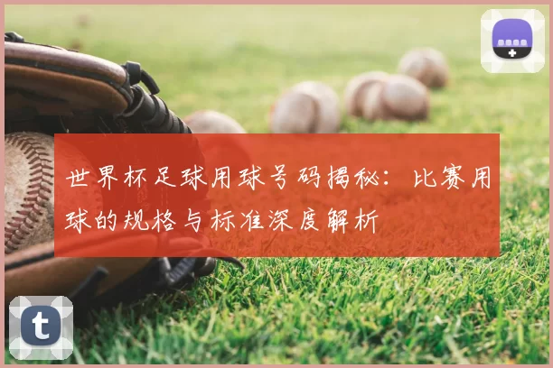 世界杯足球用球号码揭秘：比赛用球的规格与标准深度解析