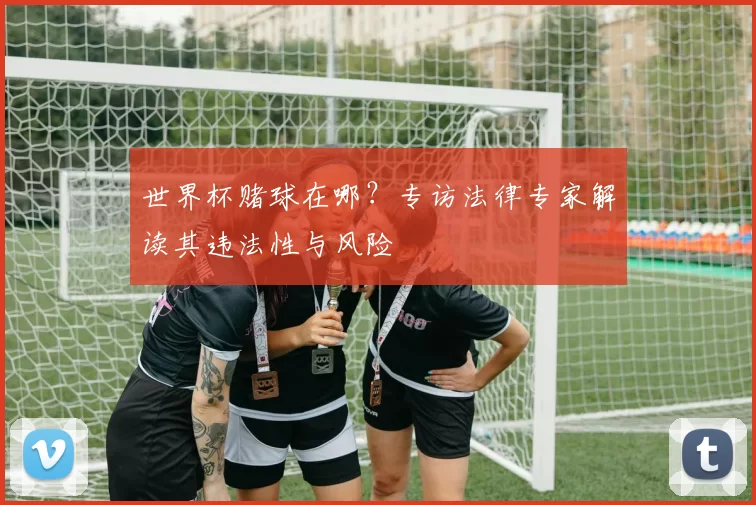 世界杯赌球在哪？专访法律专家解读其违法性与风险