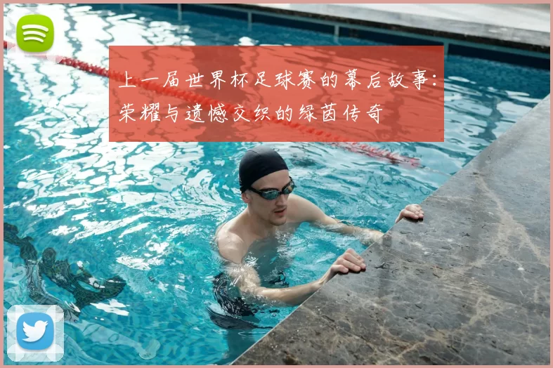 上一届世界杯足球赛的幕后故事：荣耀与遗憾交织的绿茵传奇