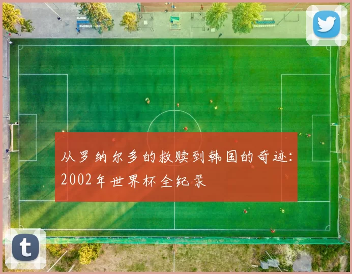从罗纳尔多的救赎到韩国的奇迹：2002年世界杯全纪录