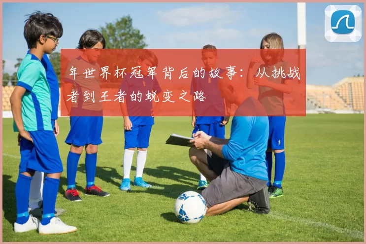 年世界杯冠军背后的故事:从挑战者到王者的蜕变之路
