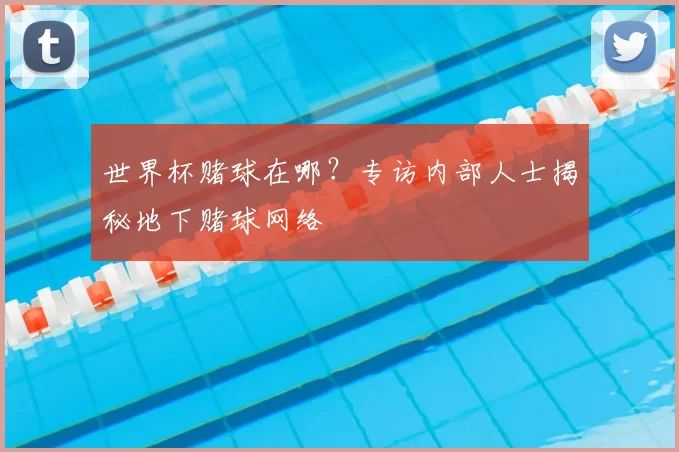世界杯赌球在哪?专访内部人士揭秘地下赌球网络