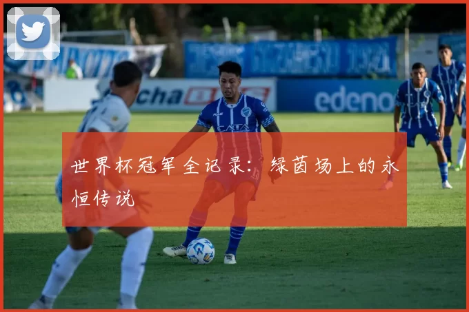 世界杯冠军全记录：绿茵场上的永恒传说