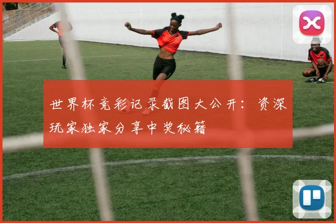 世界杯竞彩记录截图大公开:资深玩家独家分享中奖秘籍