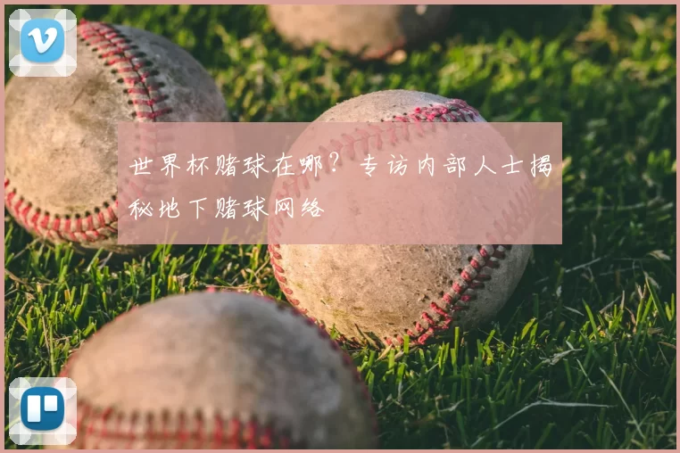 世界杯赌球在哪？专访内部人士揭秘地下赌球网络